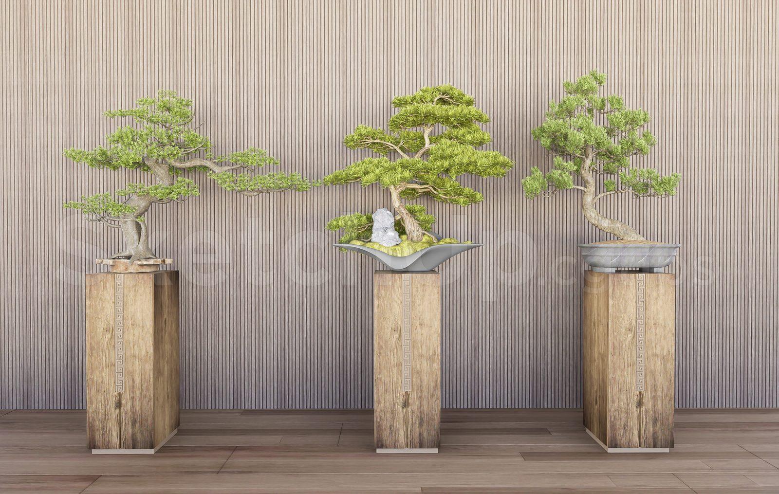 BonSai Tree
