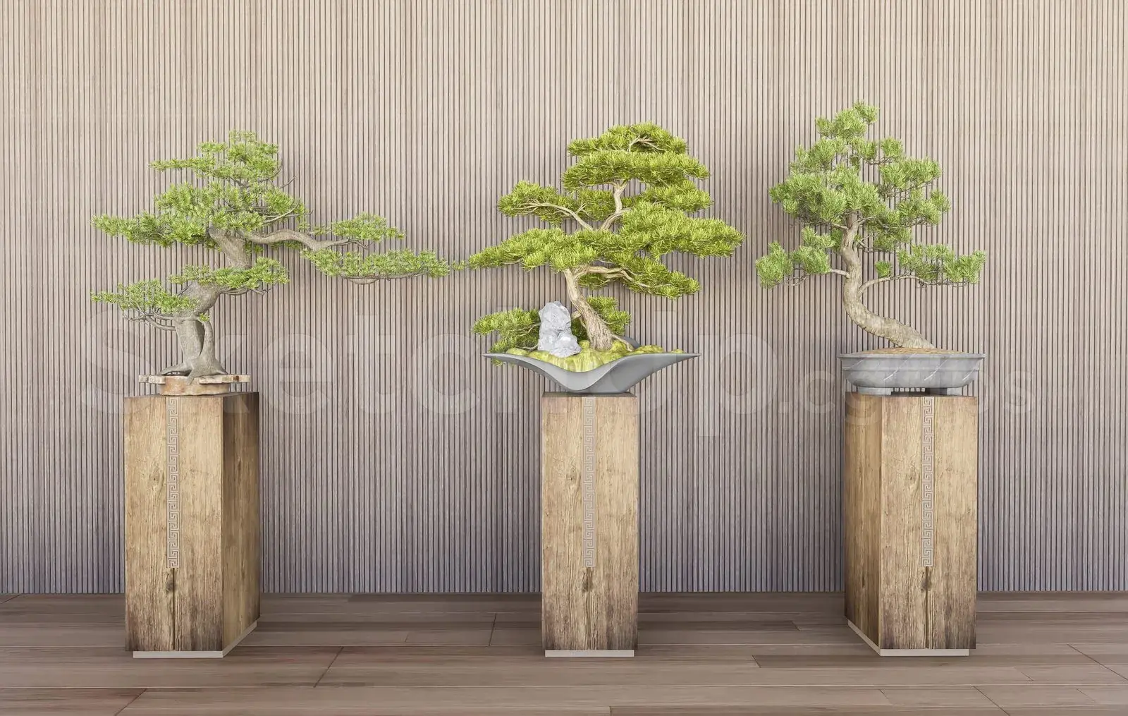 BonSai Tree