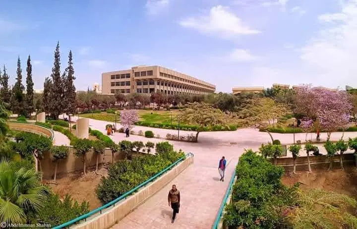 Helwan University