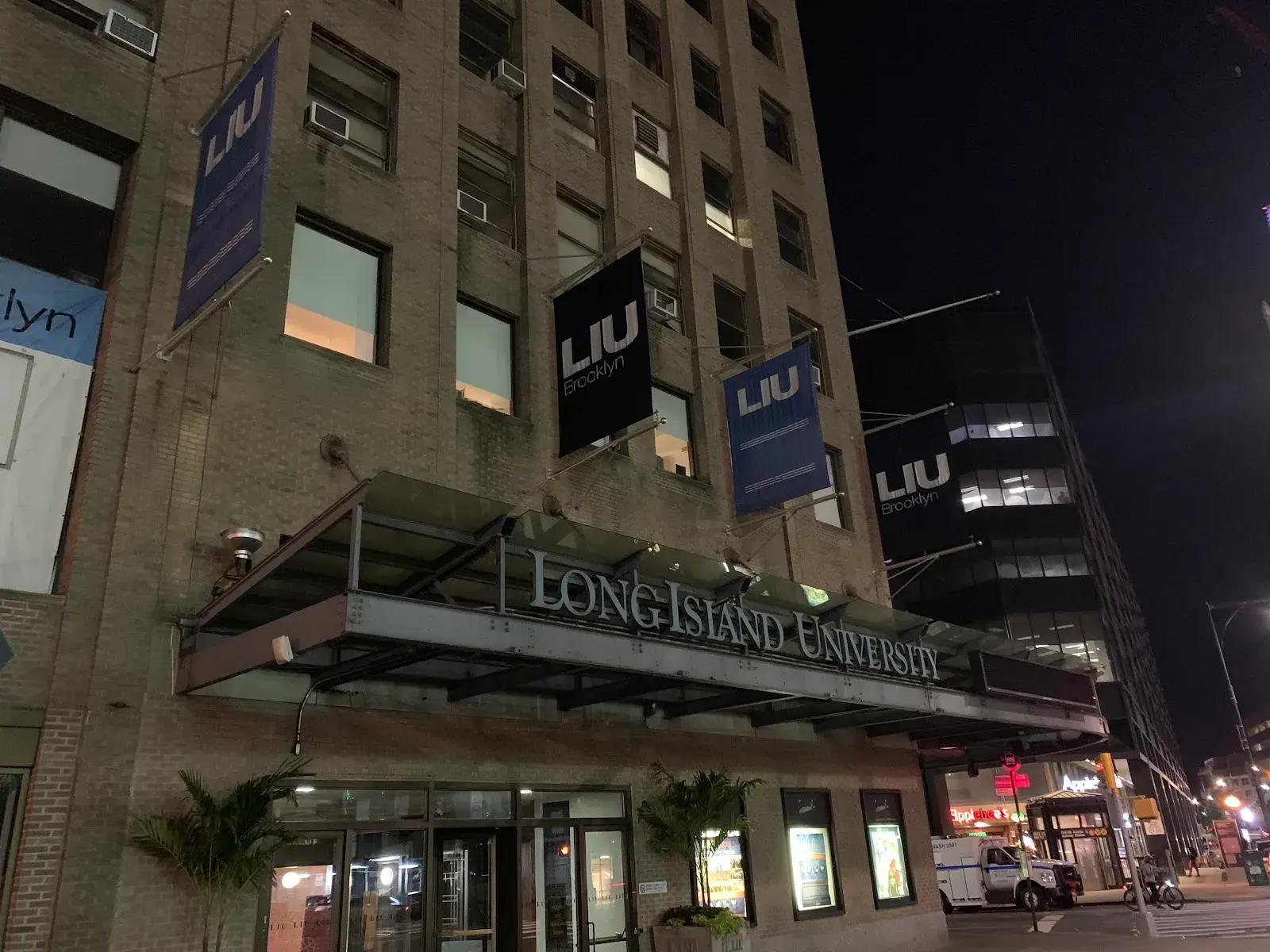 Long Island University