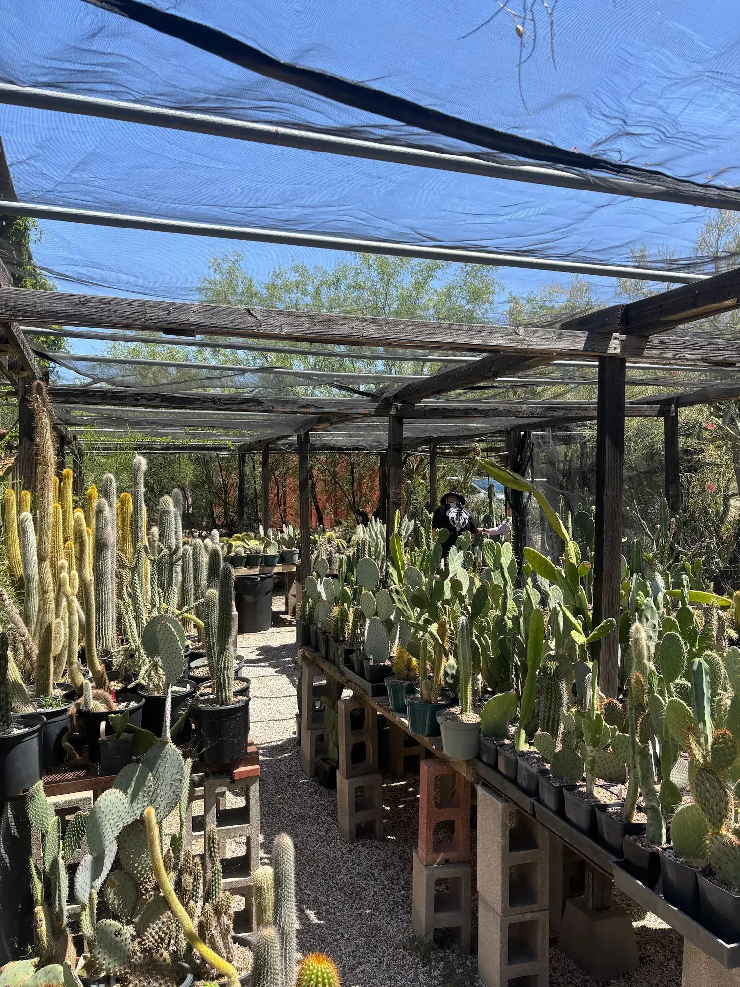 Arid Lands Institute