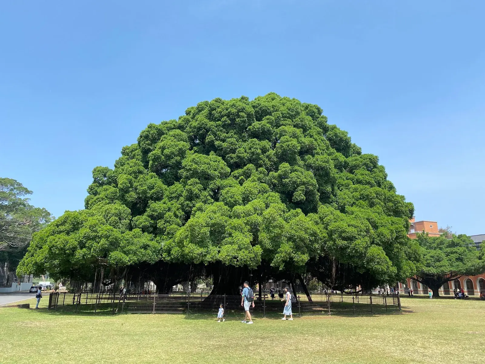National Cheng Kung University