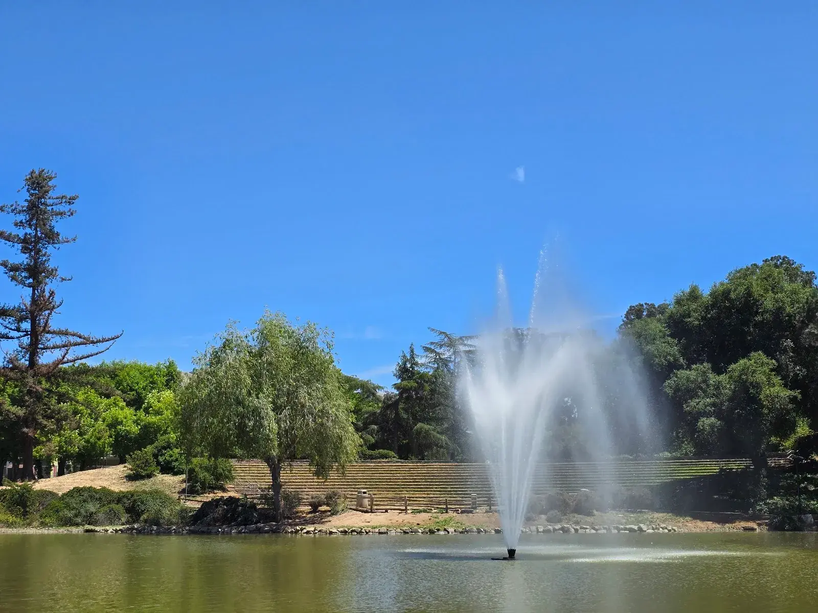 Evergreen Valley College