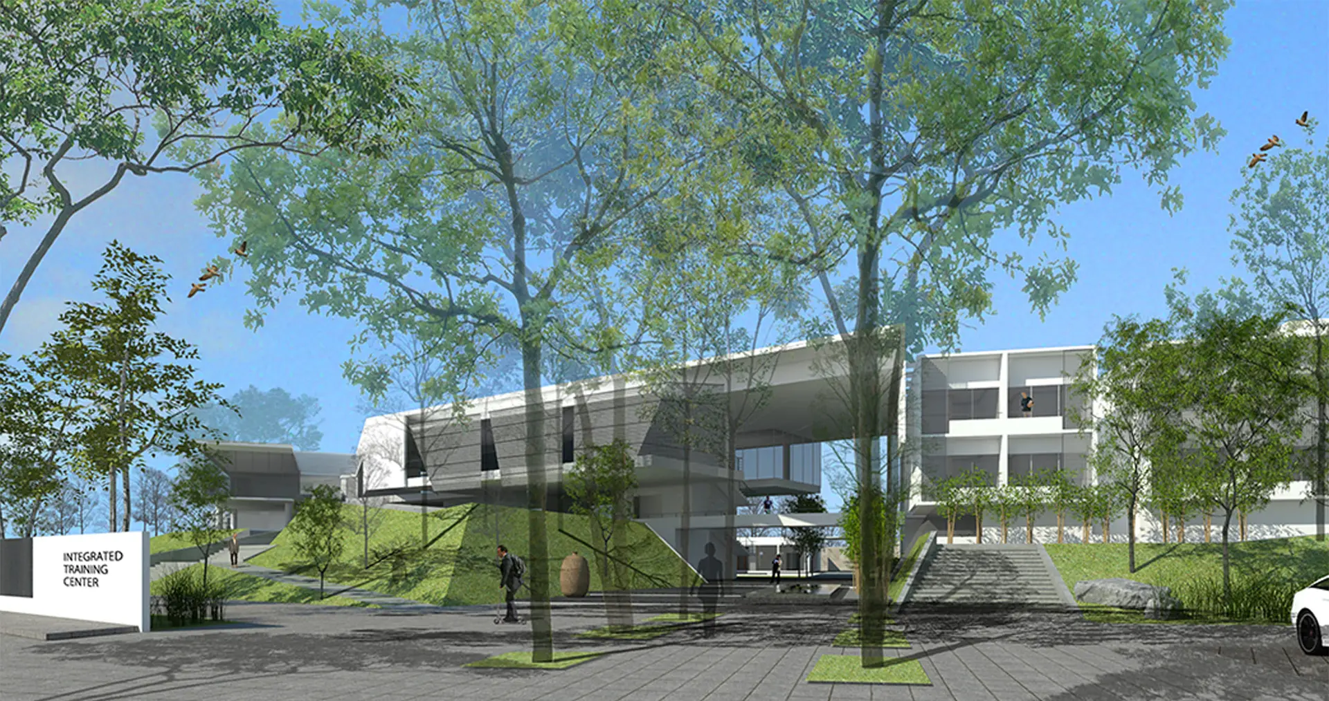NC State University School of Design logo