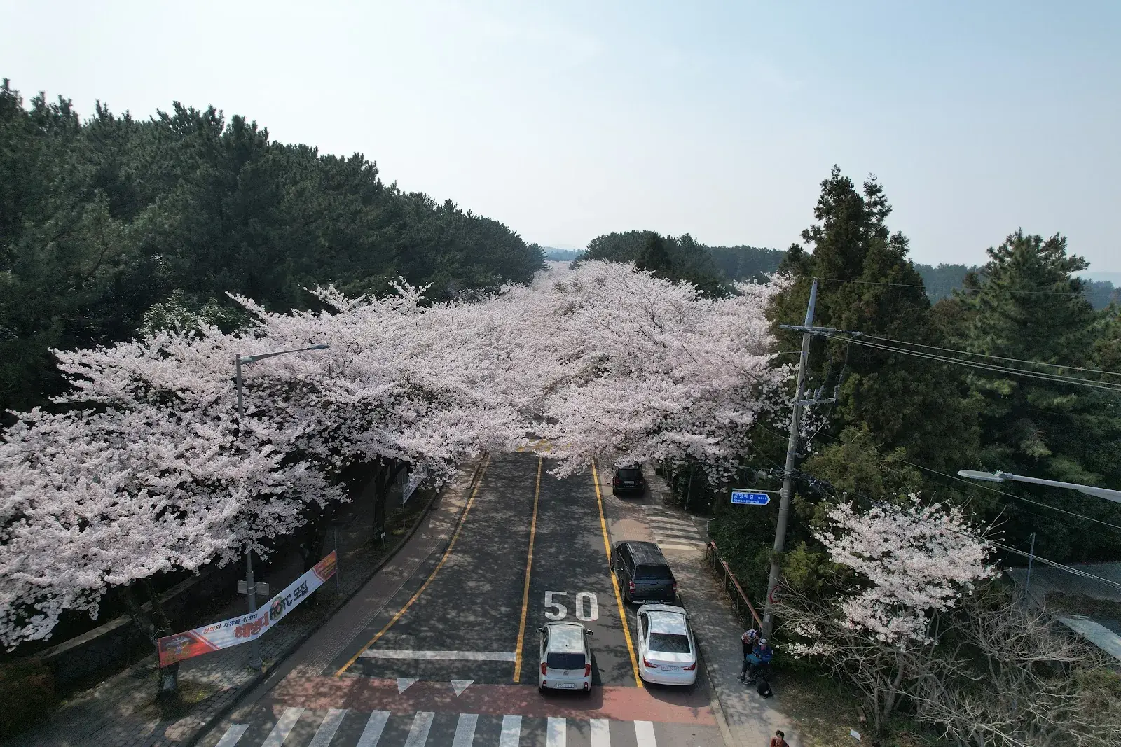 Jeju National University