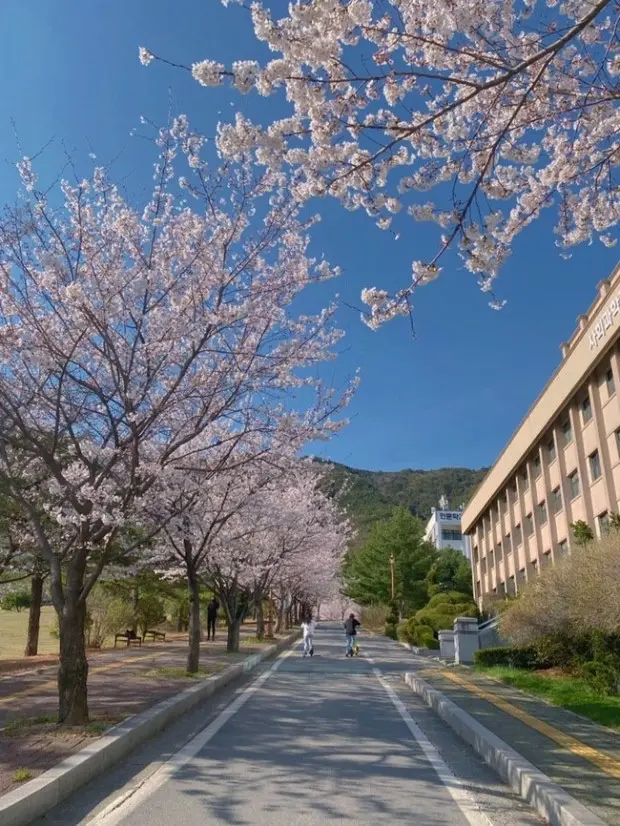 Sae Myung University