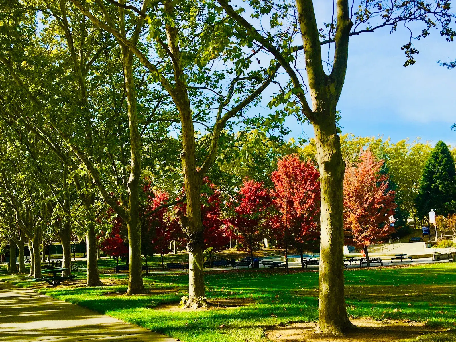 Consumnes River College