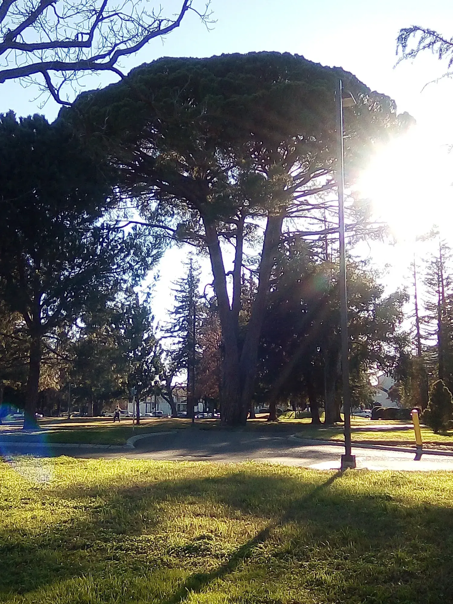 San Joaquin Delta College