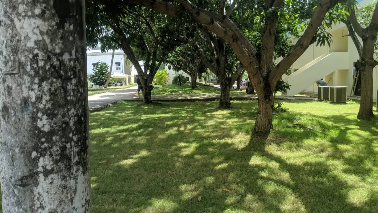 Universidad Santo Tomás de Aquino