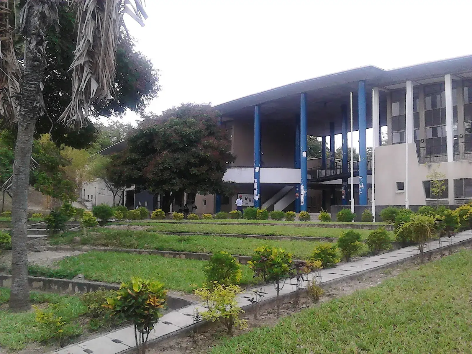 Ardhi University