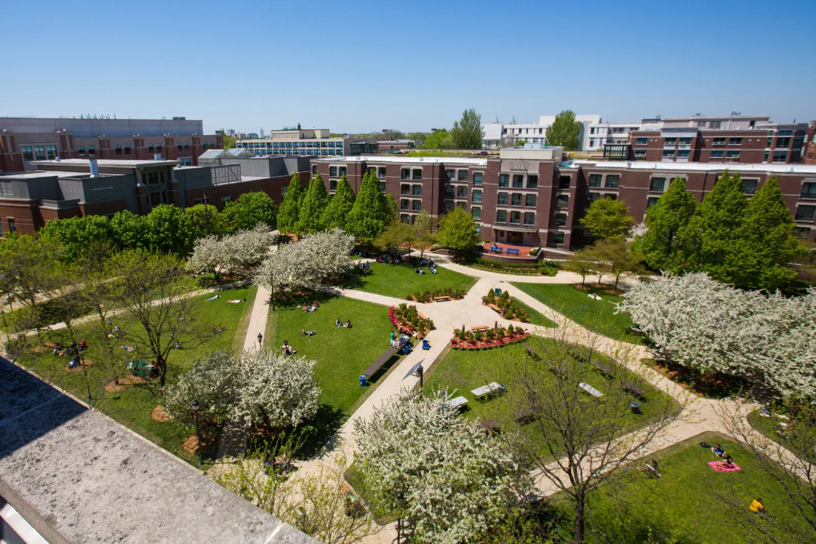 DePaul University