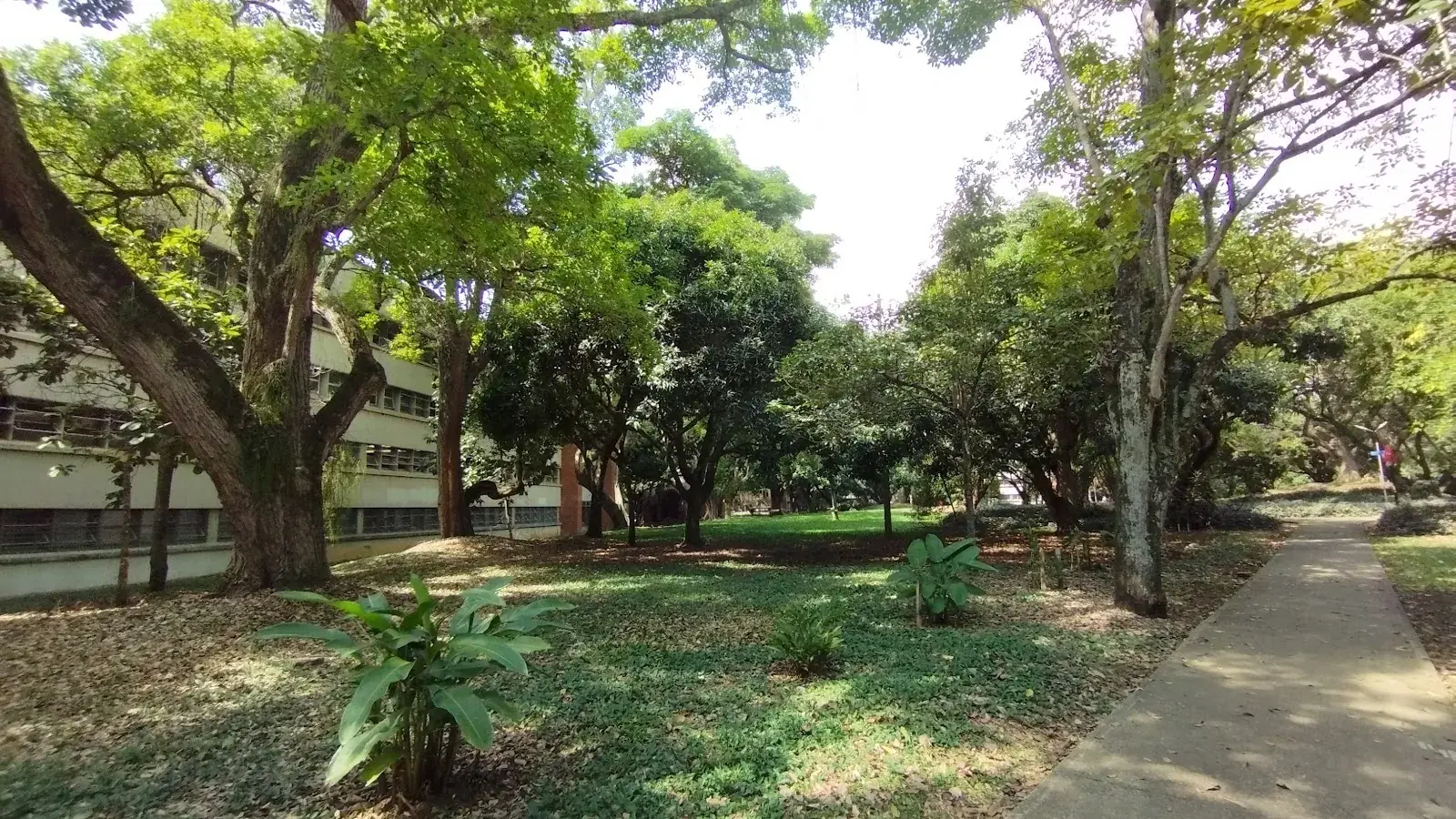 Academico de Arquitectura, Universidad del Valle, Cali Colombia