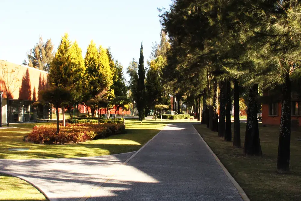 Universidad de las Americas Puebla