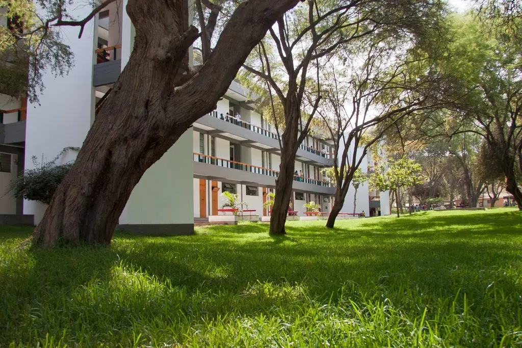 Piura State University