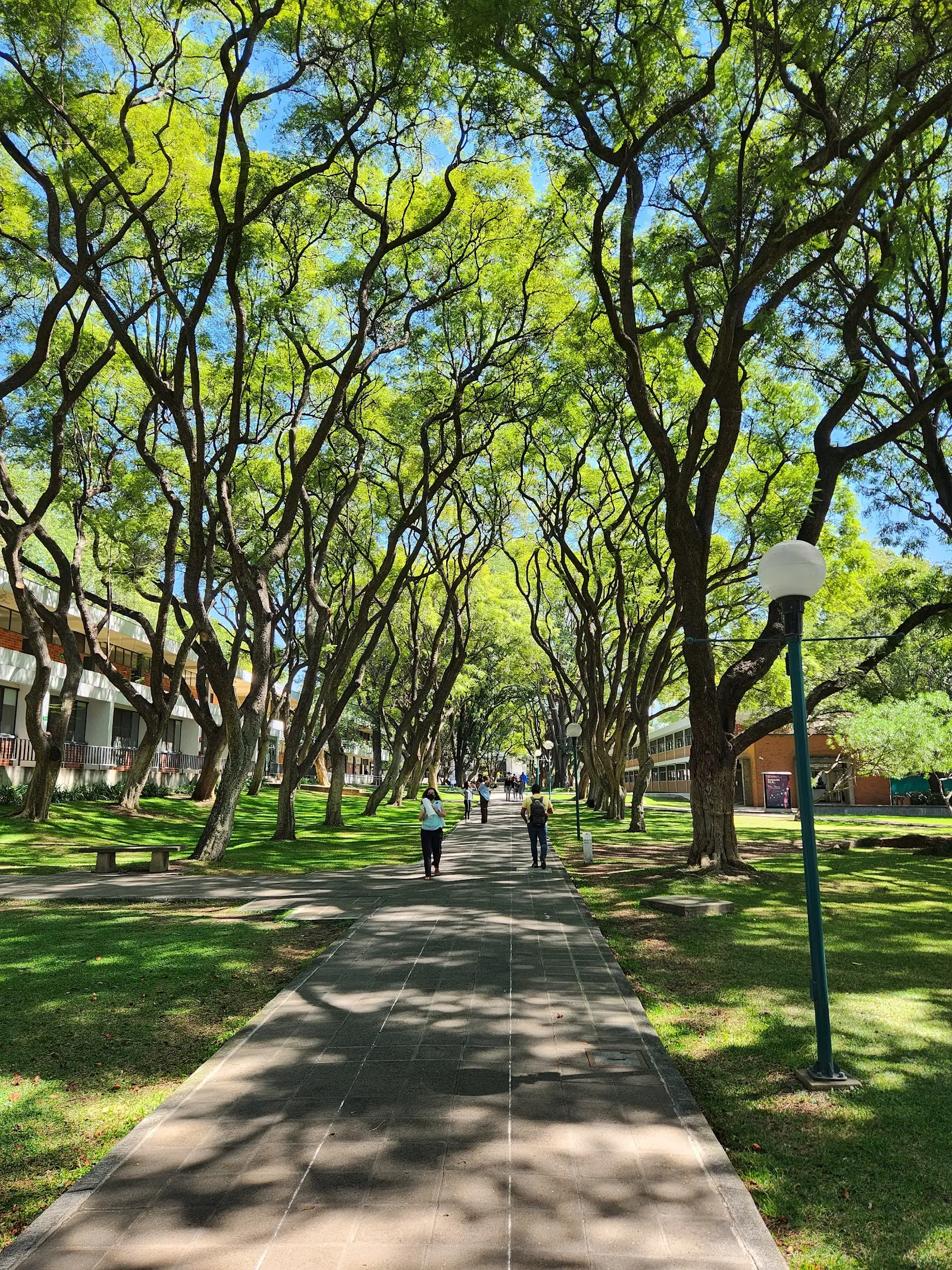 Western Institute of Technology and Higher Education (ITESO)