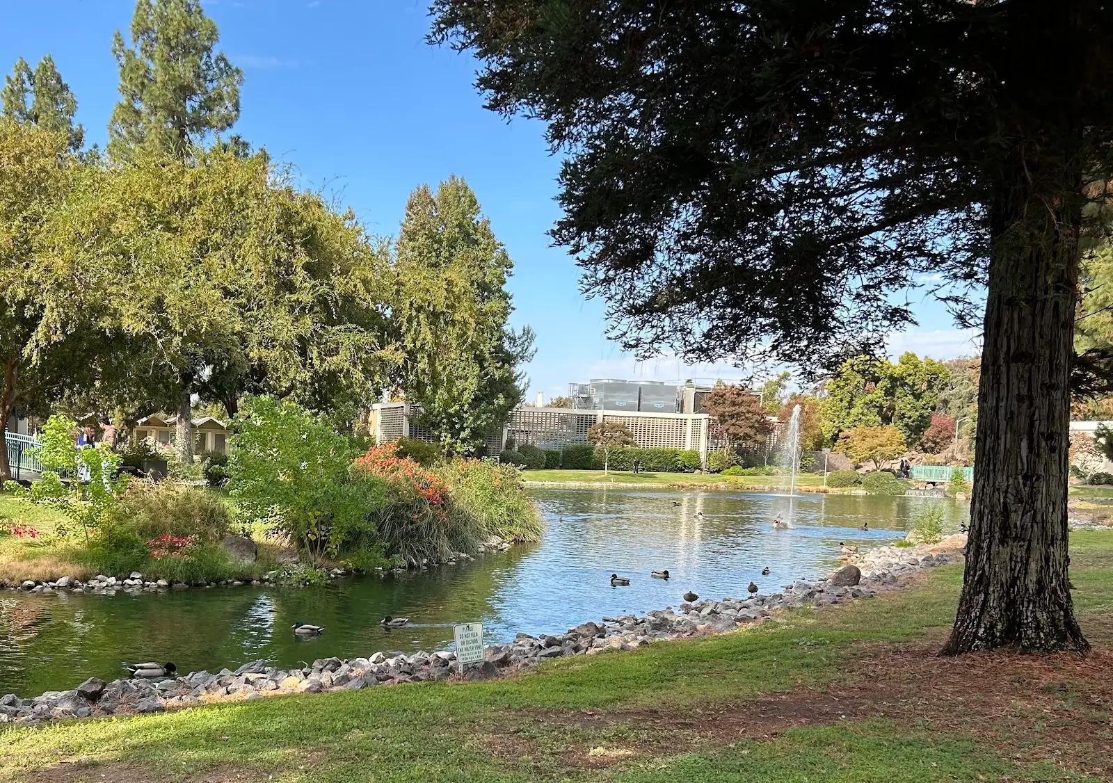 California State University, Stanislaus