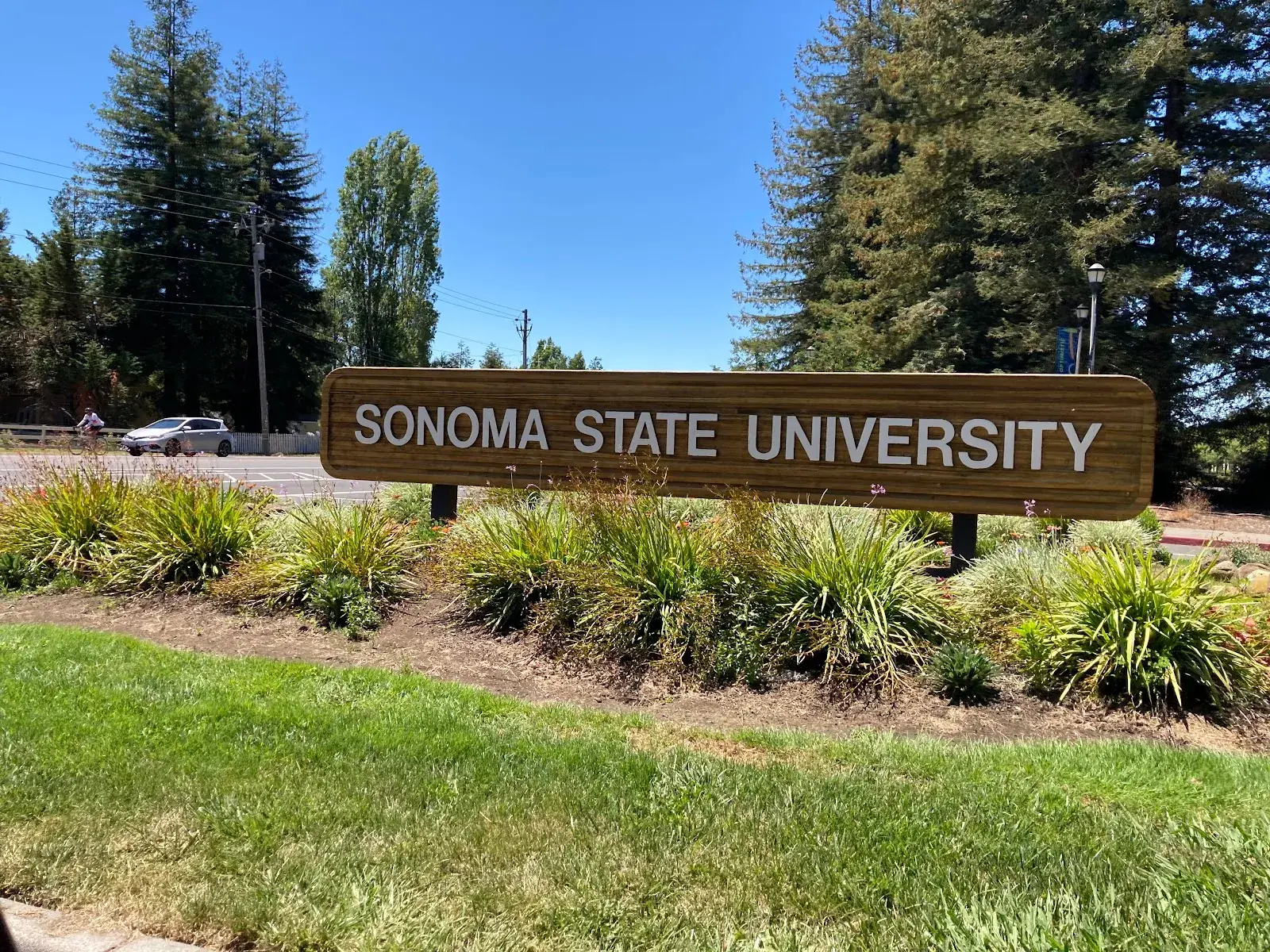 Sonoma State University