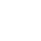 Near East University logo