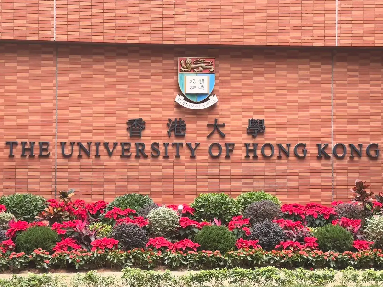 The University of Hong Kong