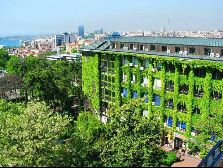 Yildiz Technical University