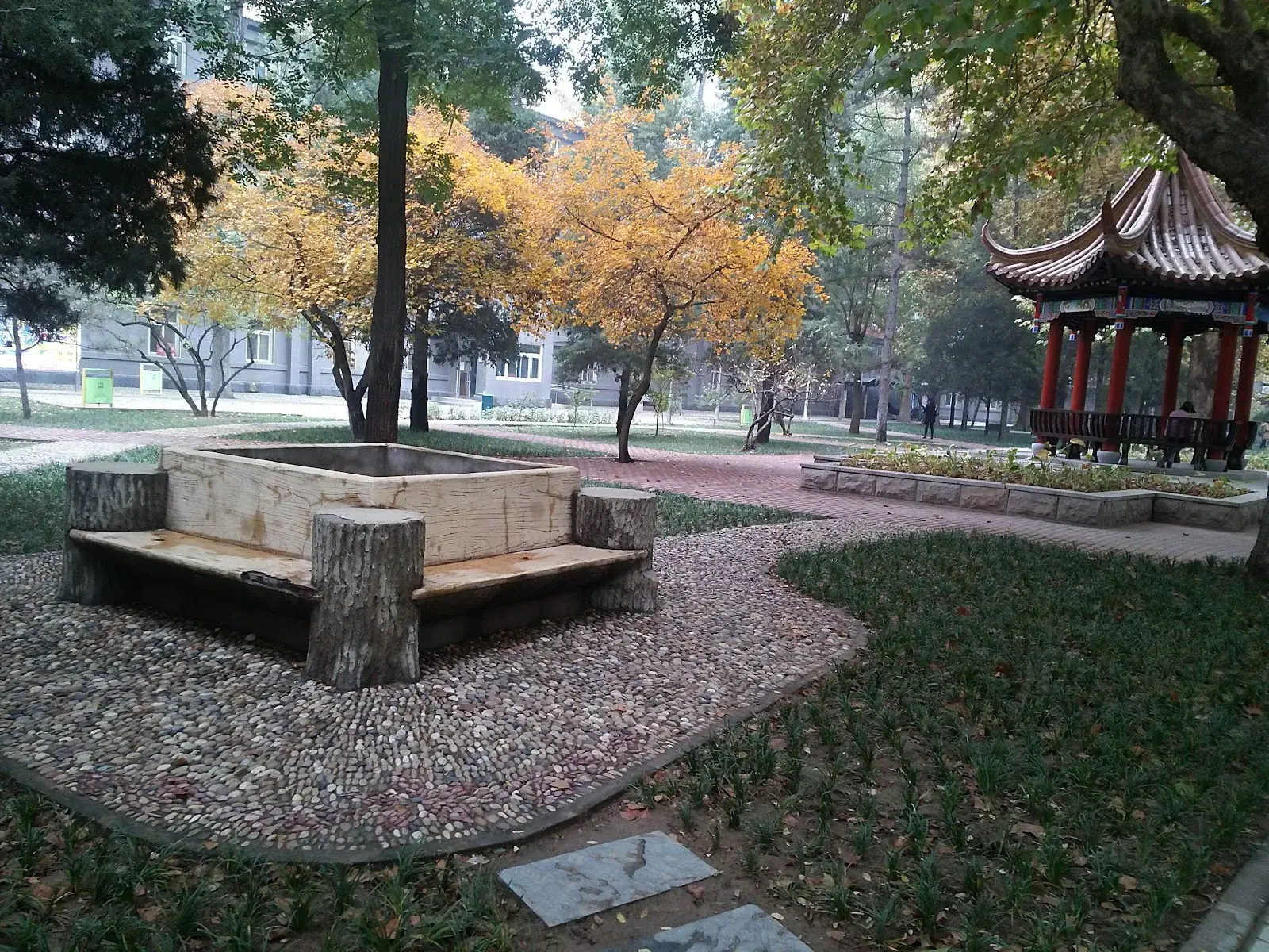 Beijing International studies university