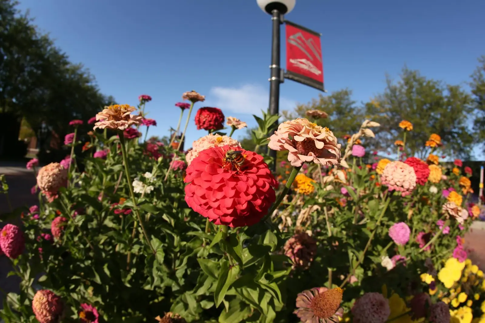 Northwest College