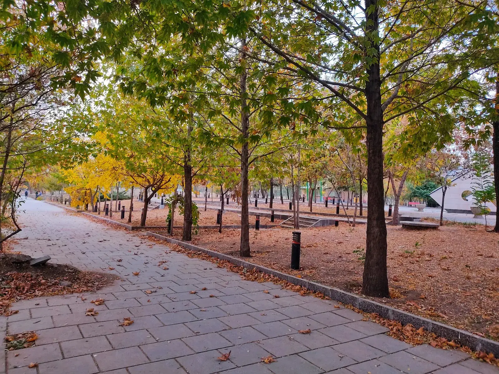Bu-Ali Sina University