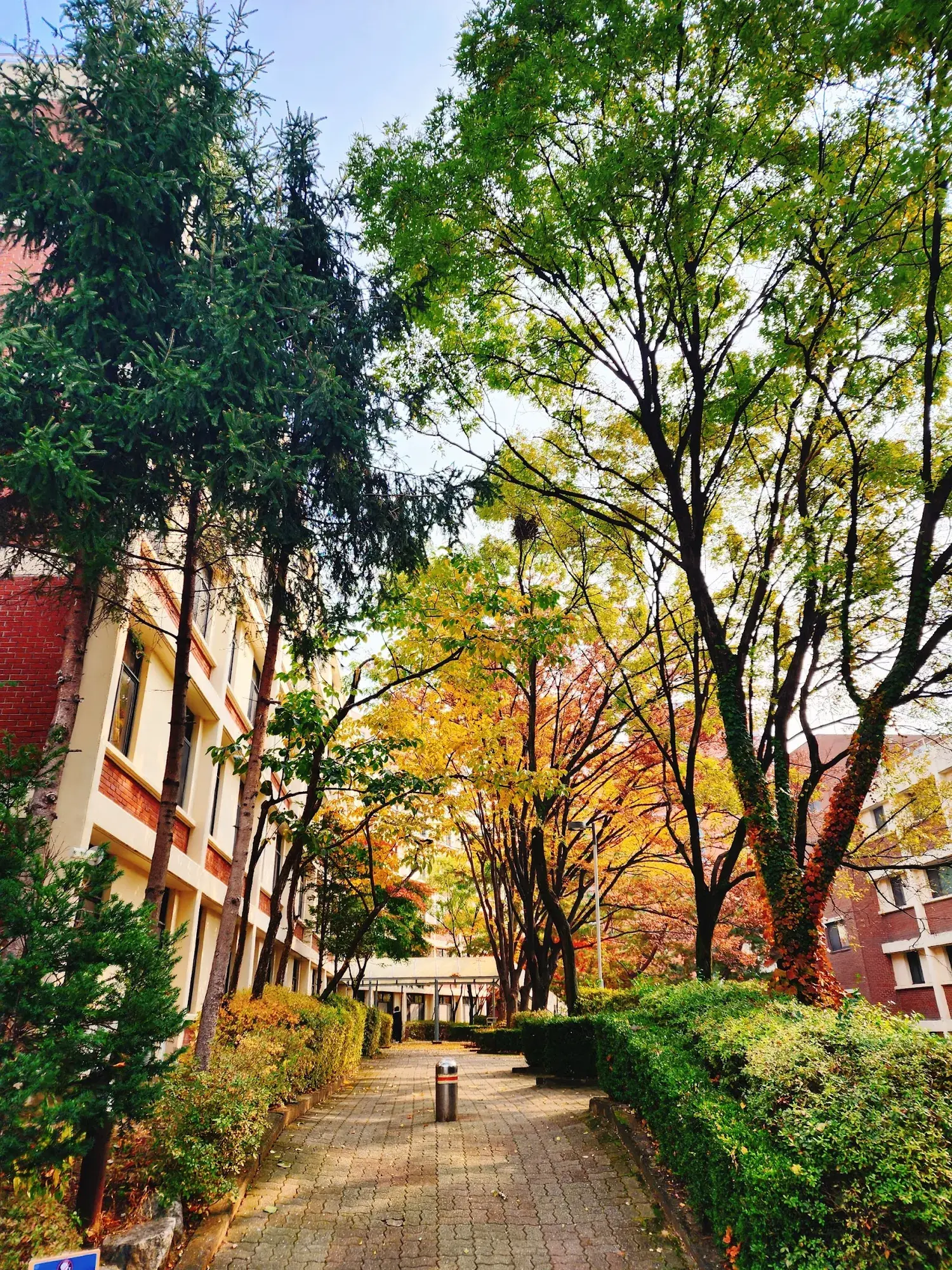 Ajou University
