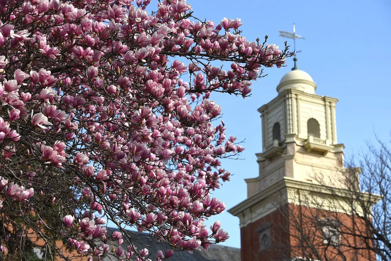 Shippensburg University
