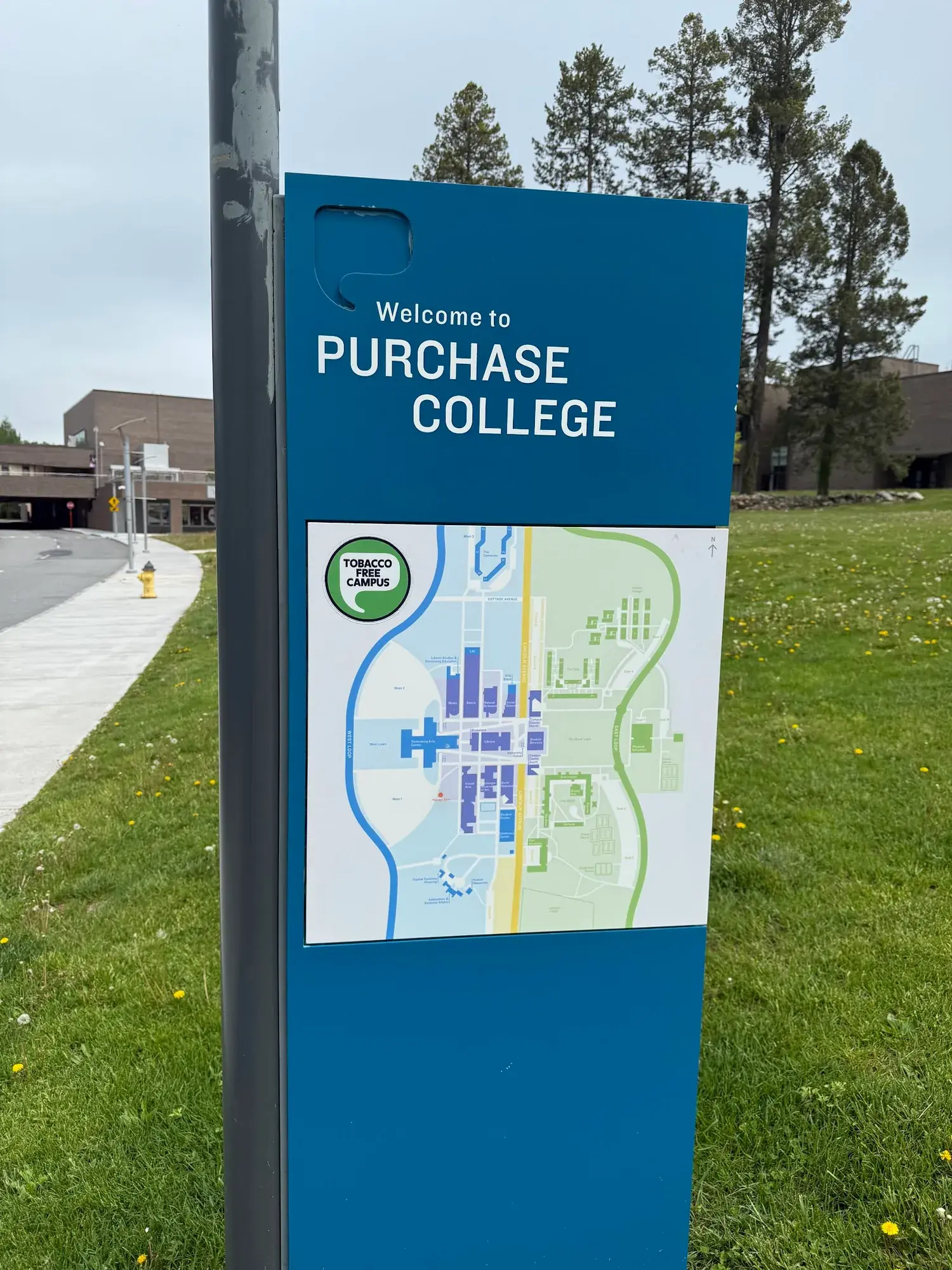 Purchase College, SUNY