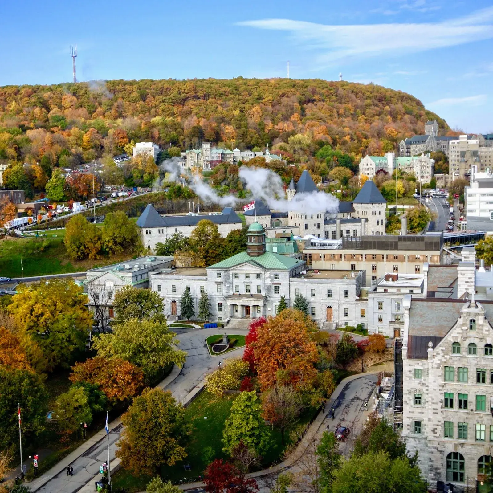 McGill University