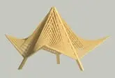 Novosibirsk State Academy of Architecture and Fine Arts logo
