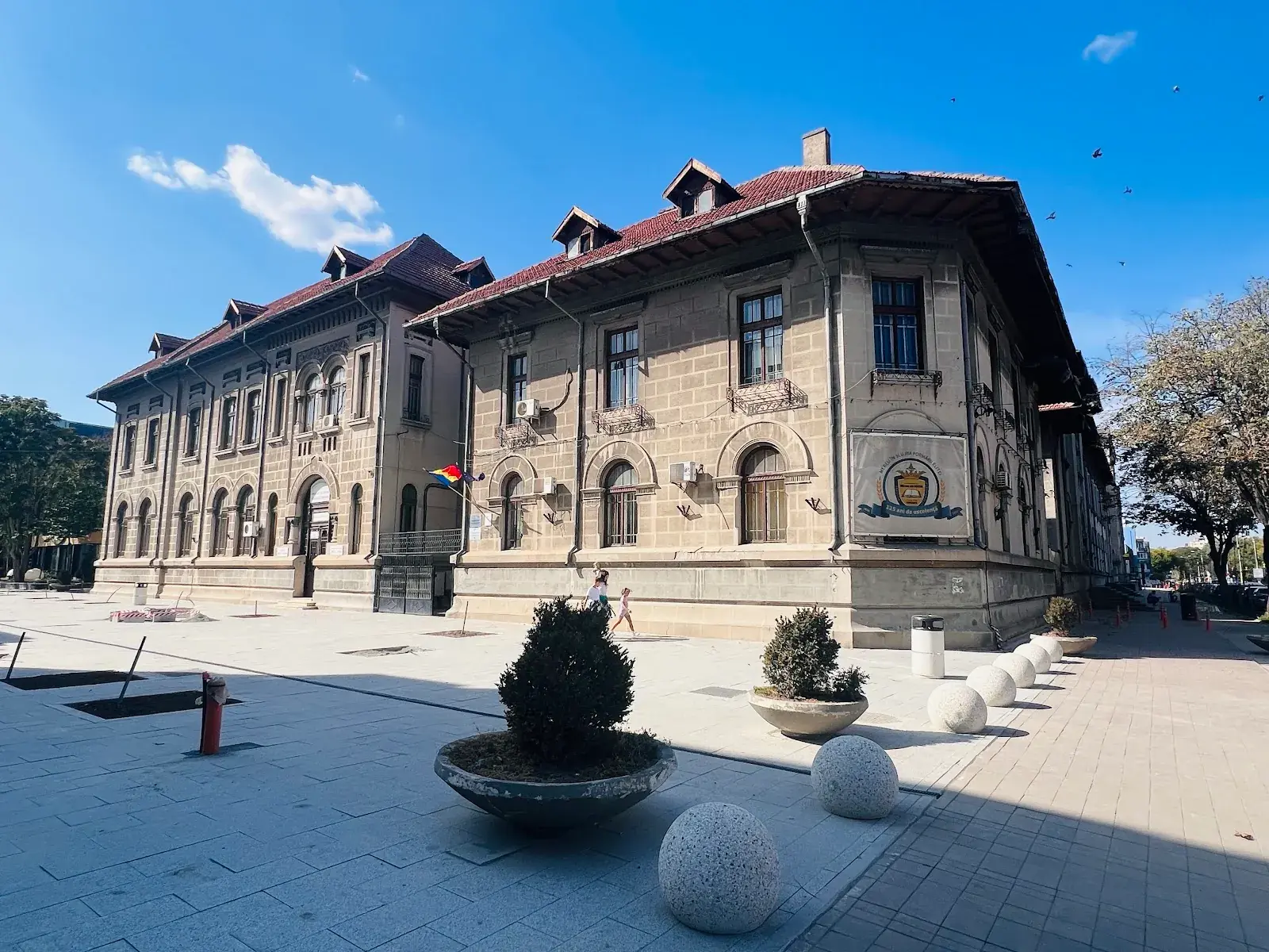 Mircea Cel Batran College