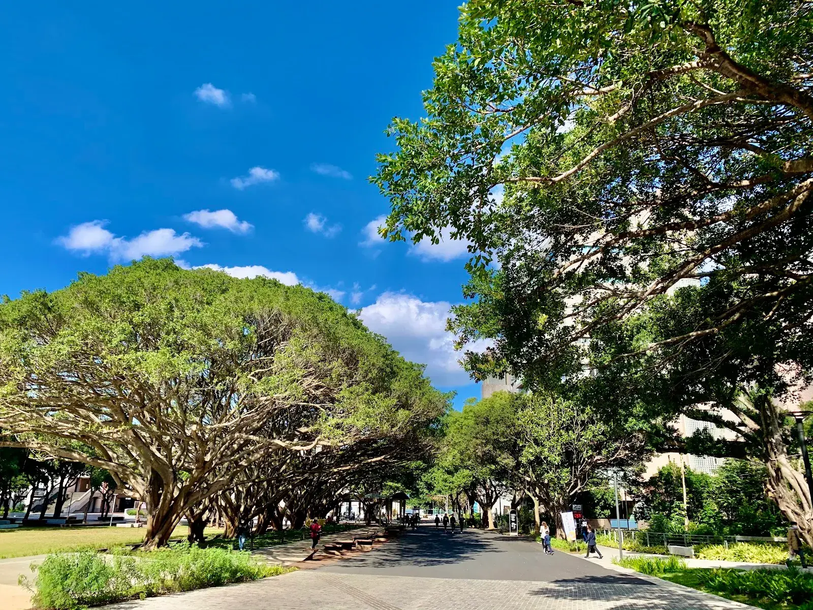 Chung Yuan Christian University (CYCU)