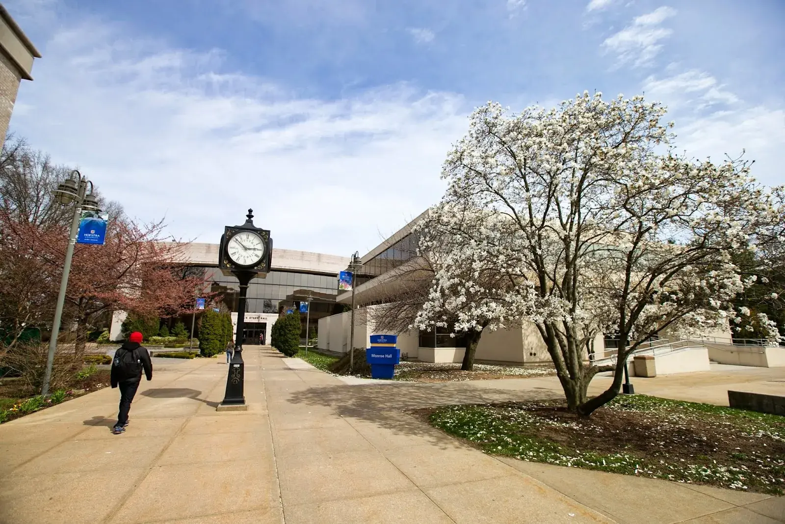 Hofstra University