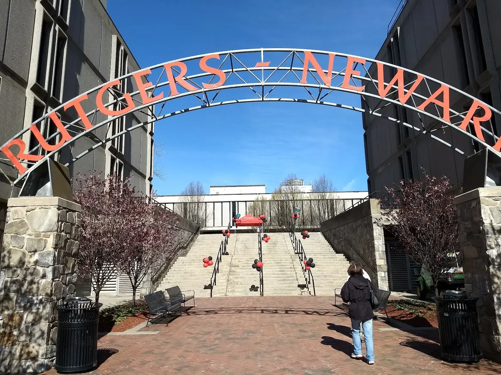 Robert College