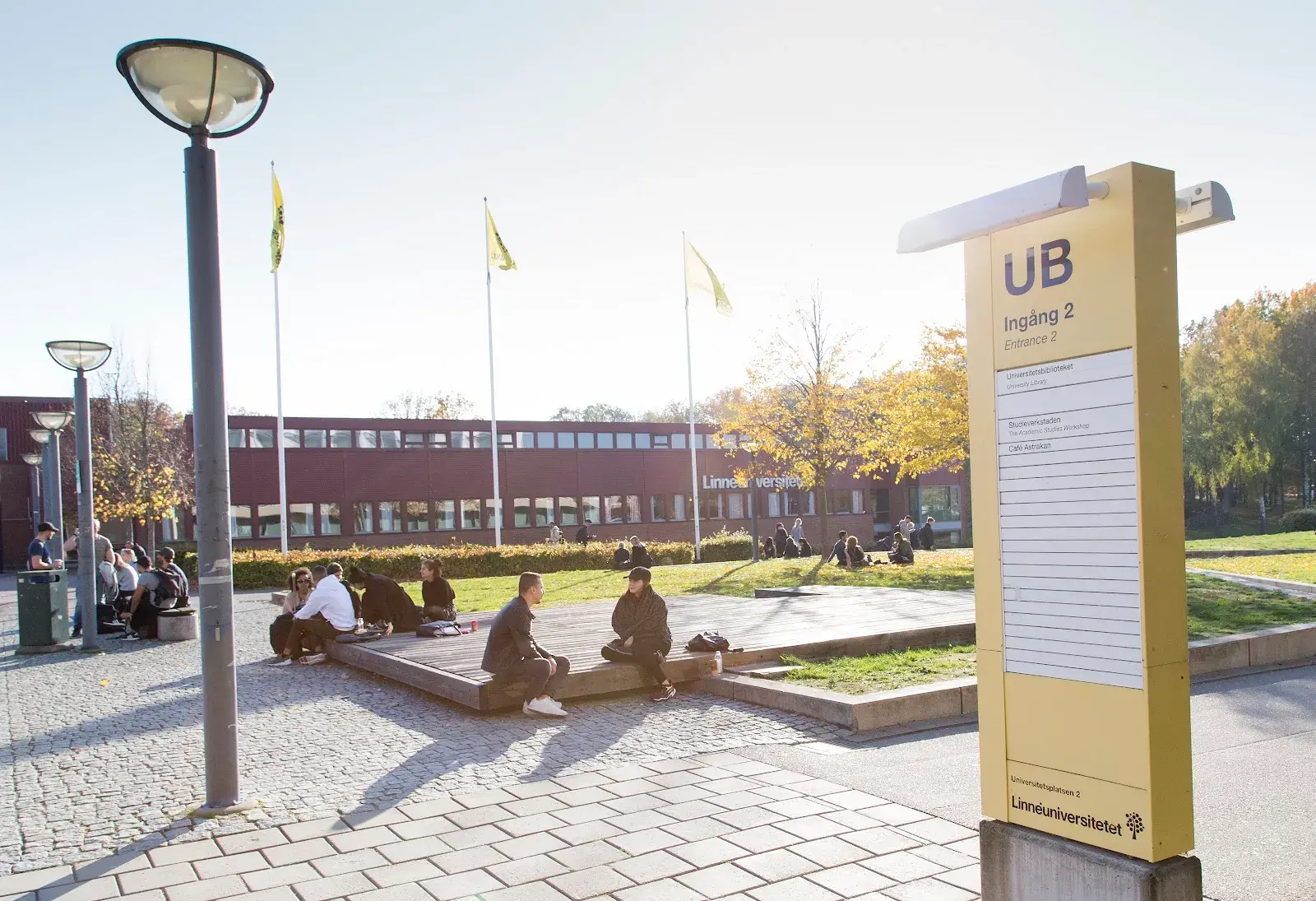 Lund University, Växjö University