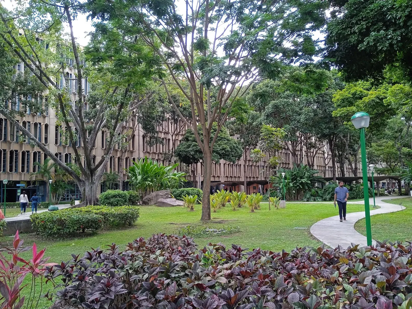 Universidad Católica Andrés Bello