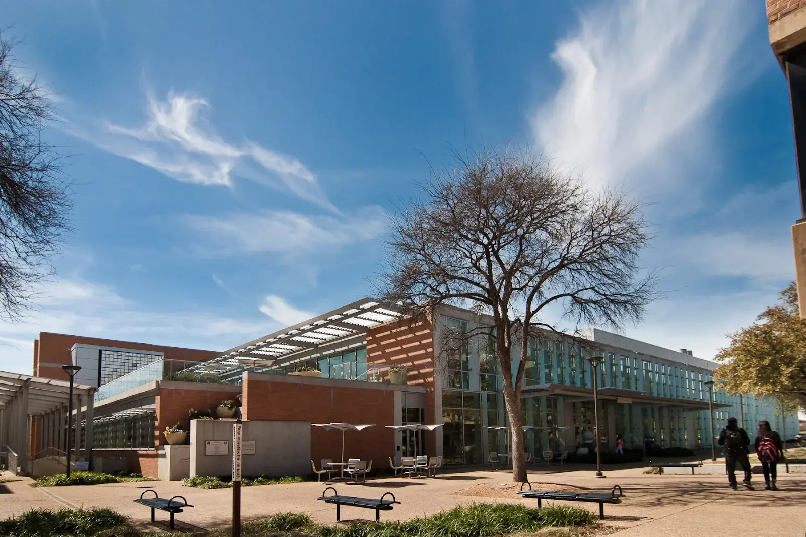 RICHLAND COLLEGE (DCCCD)