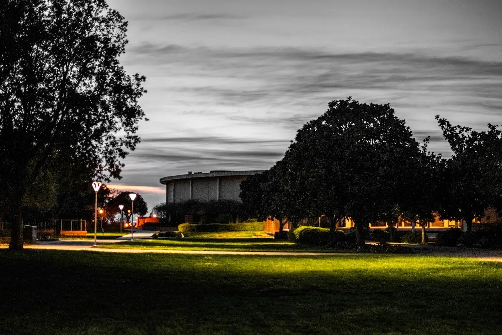 California State University, Hayward
