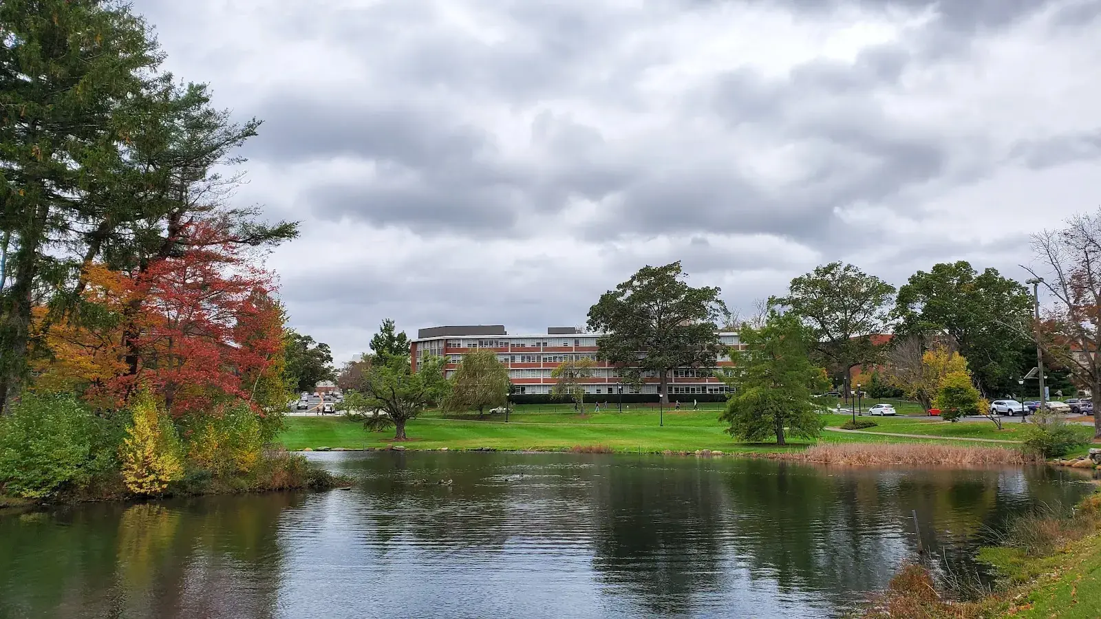 University of Connecticut