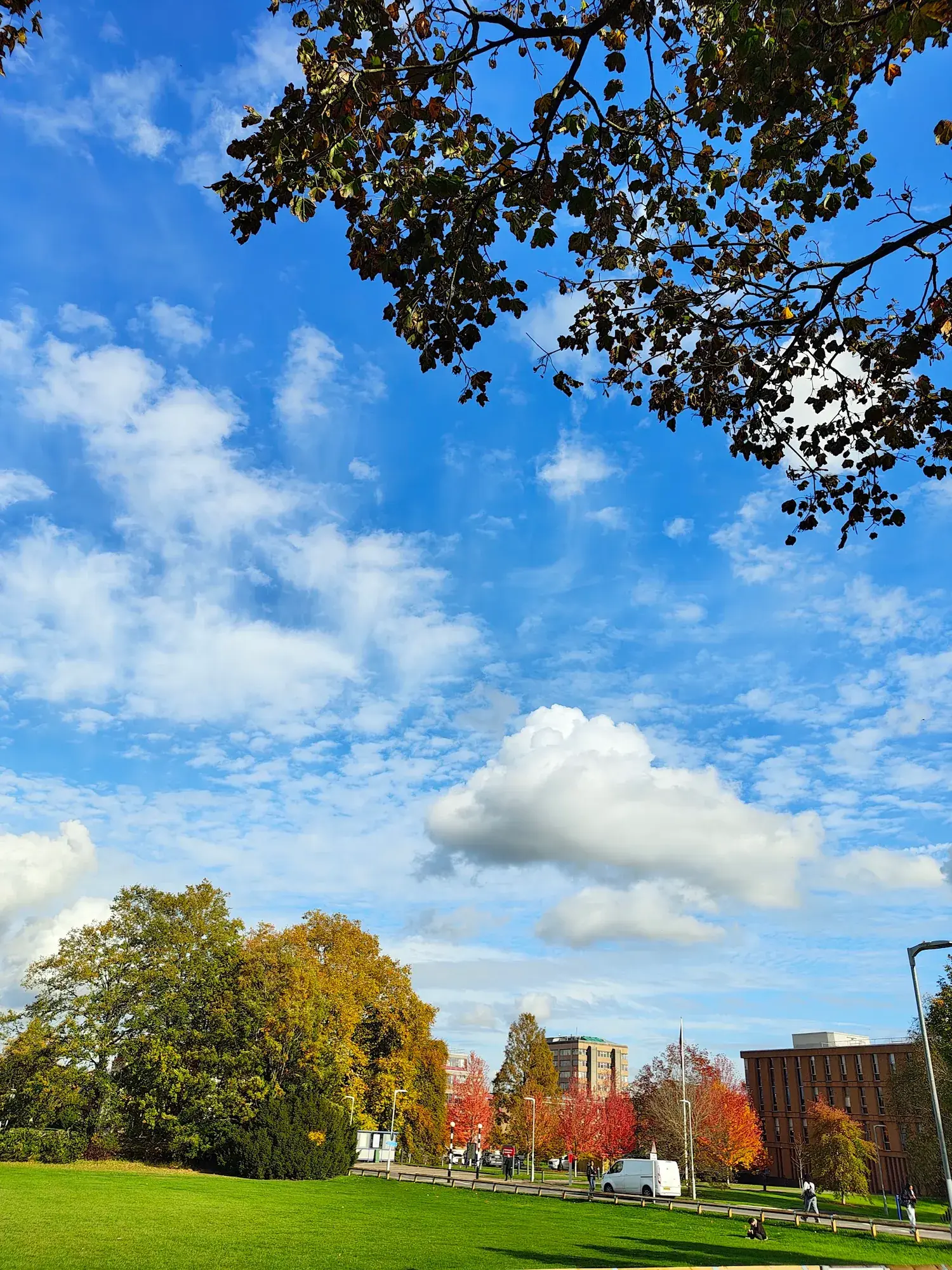University of Reading