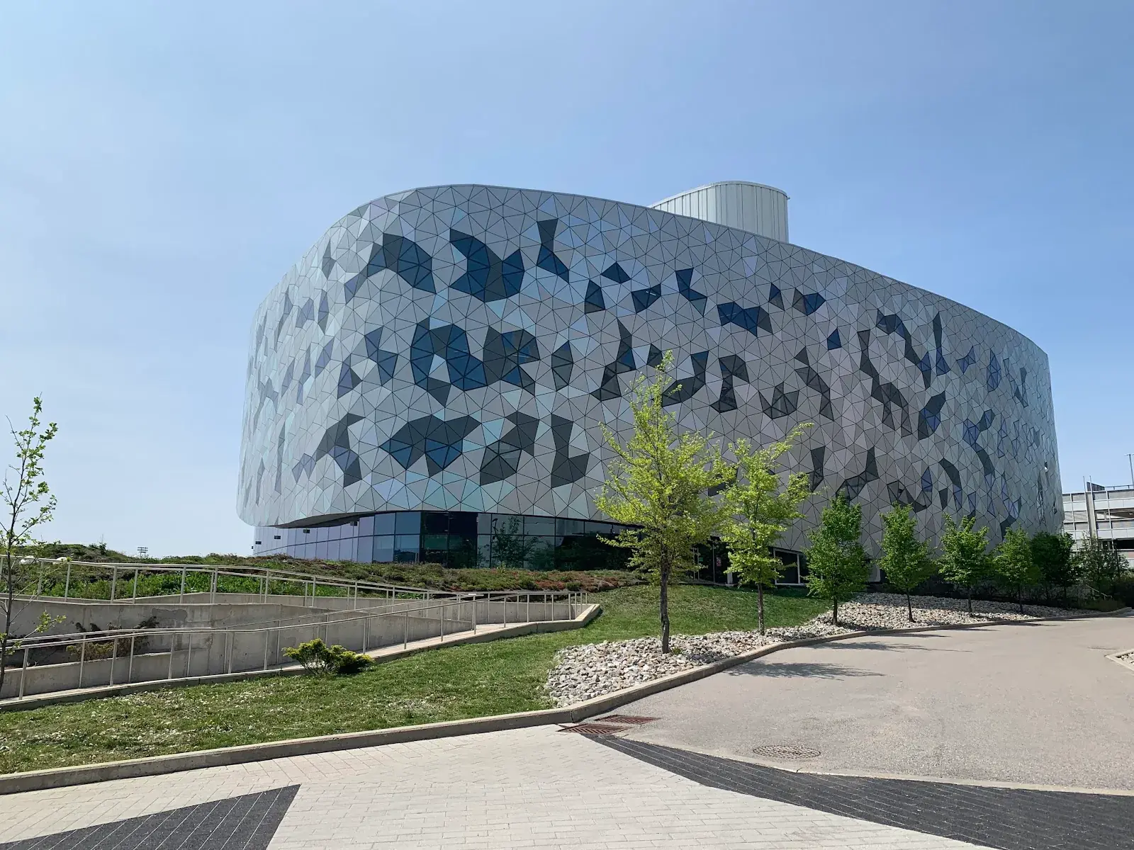 York University
