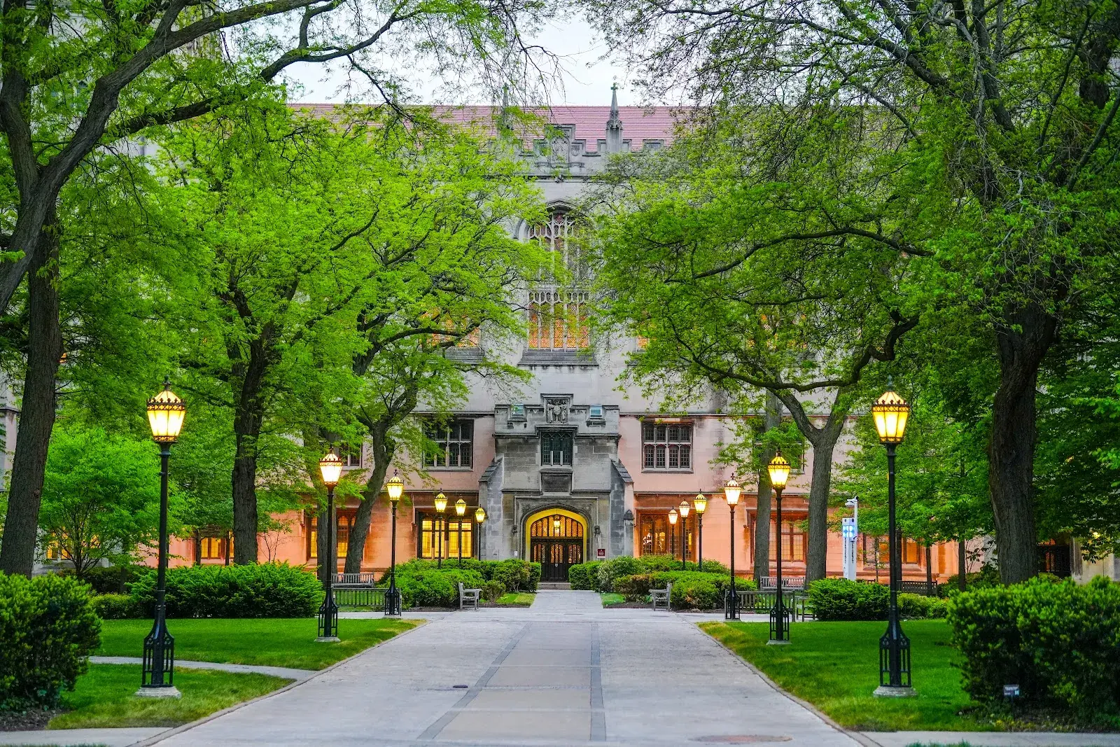The University of Chicago