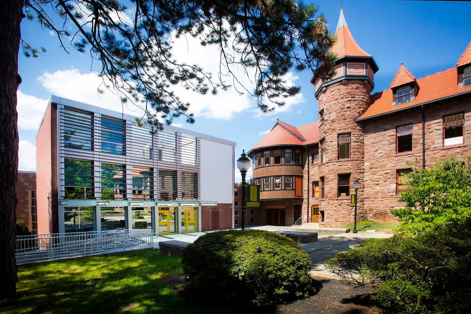 Felician College
