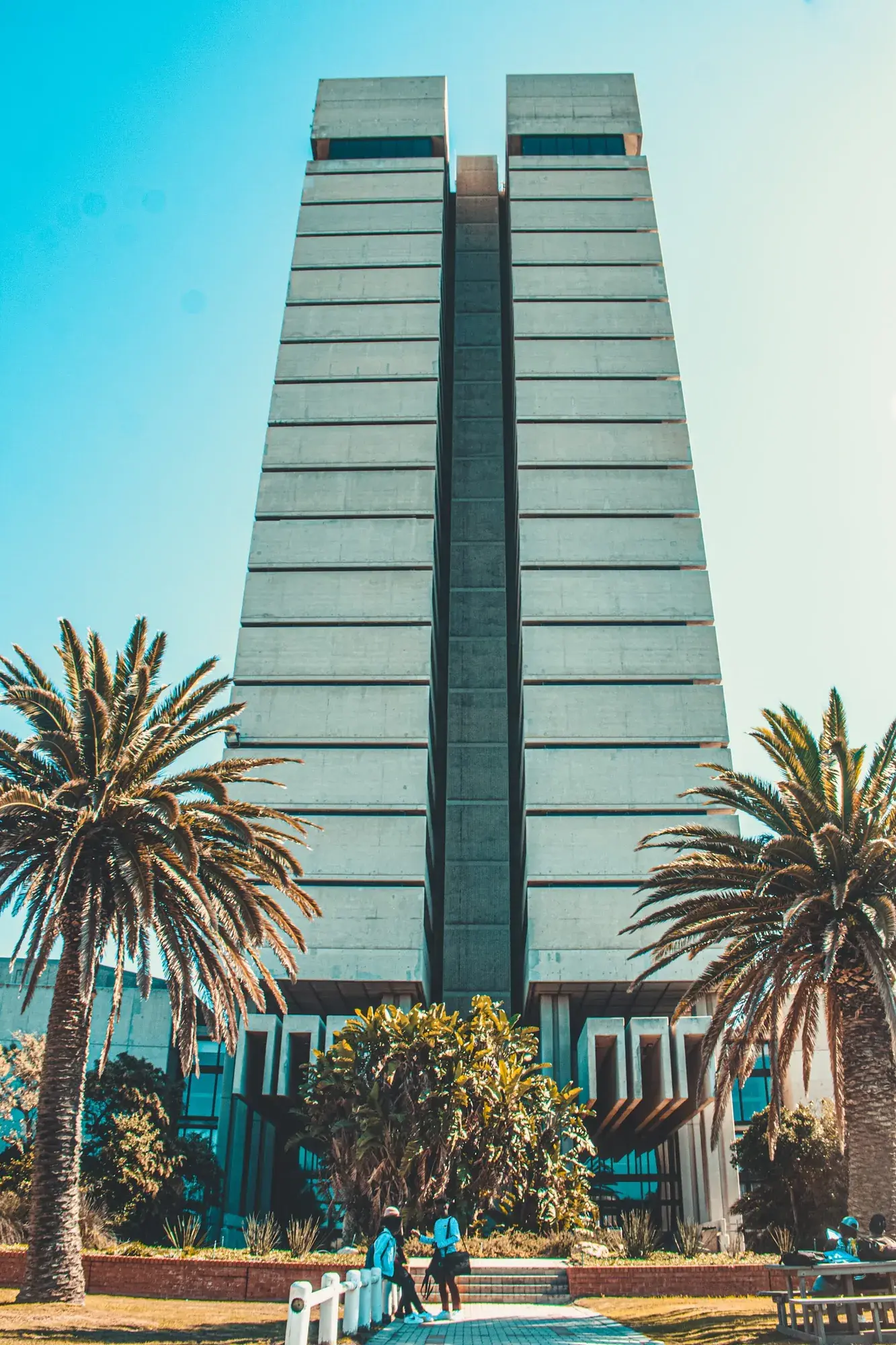 University of Port Elizabeth