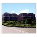 PILOO MODY COLLEGE OF ARCHITECTURE logo
