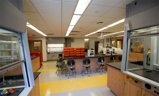 Suffolk University - New England School of Art and Design