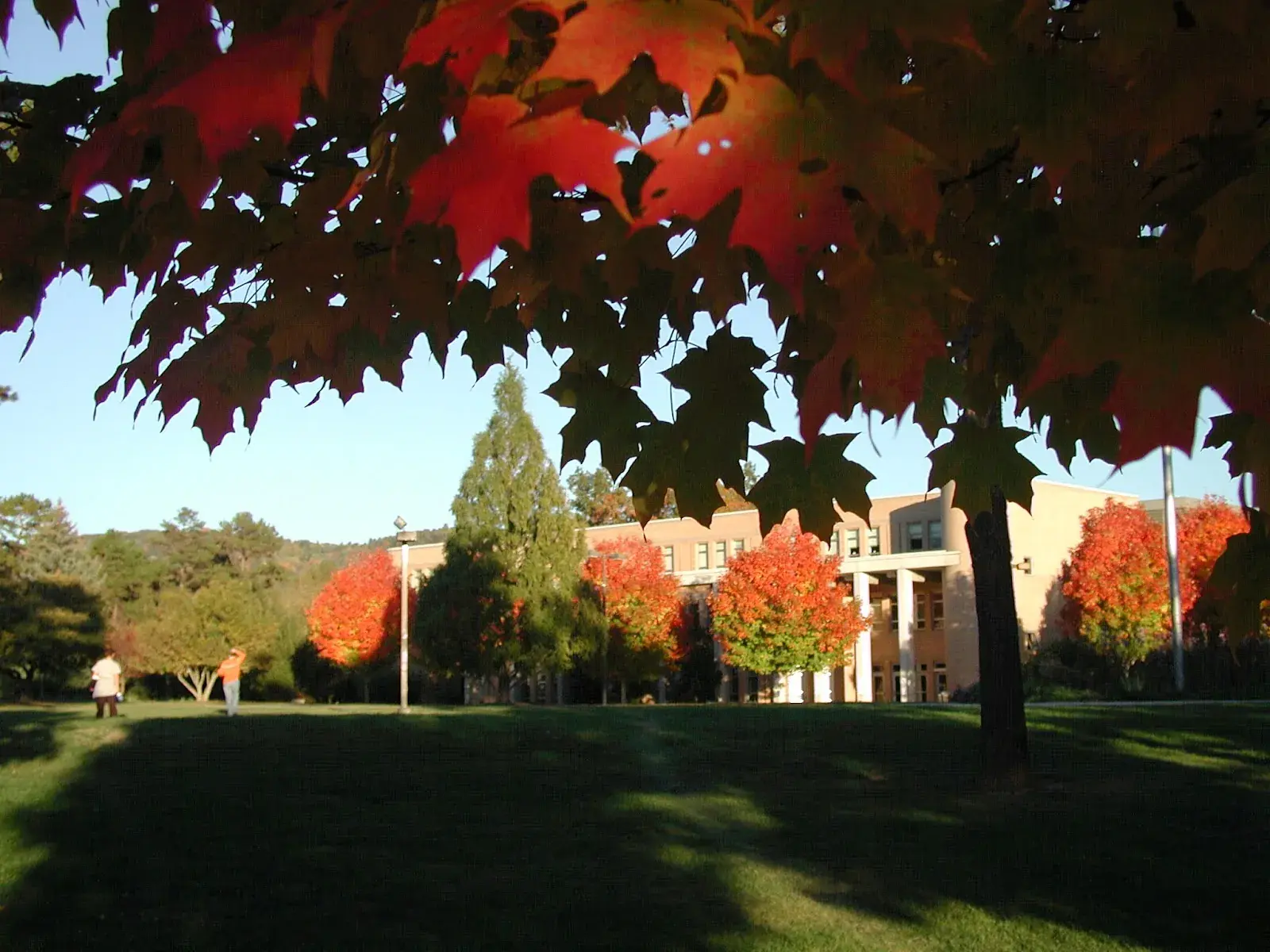 University of North Carolina at Asheville