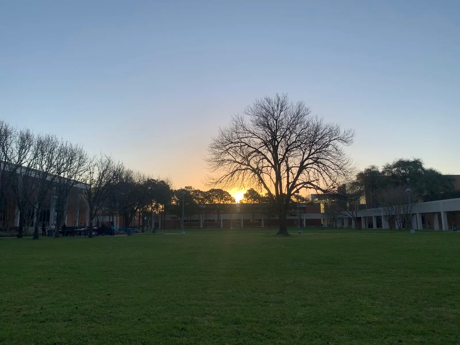 San Jacinto College